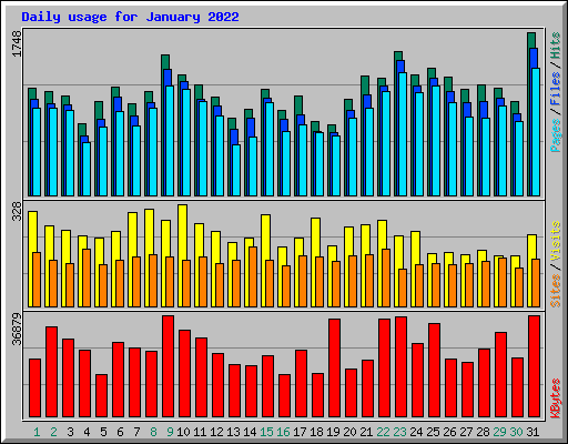 Daily usage for January 2022
