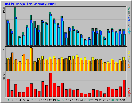 Daily usage for January 2023