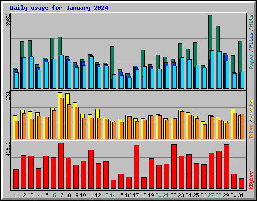 Daily usage for January 2024
