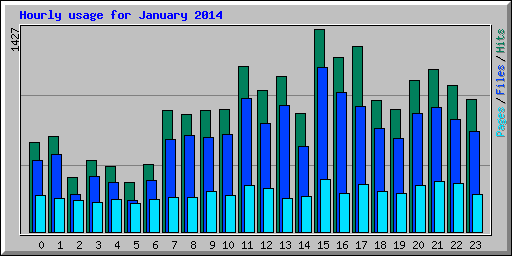 Hourly usage for January 2014