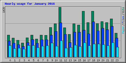 Hourly usage for January 2016