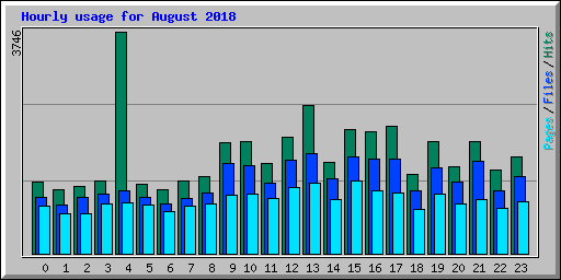 Hourly usage for August 2018