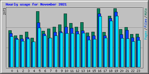 Hourly usage for November 2021