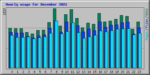 Hourly usage for December 2021