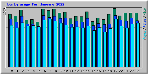 Hourly usage for January 2022