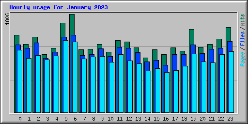 Hourly usage for January 2023