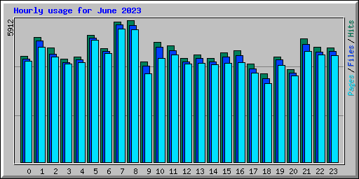 Hourly usage for June 2023