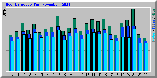 Hourly usage for November 2023