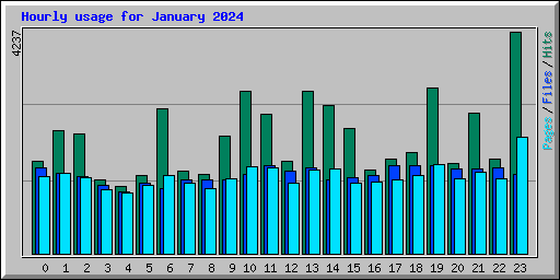 Hourly usage for January 2024