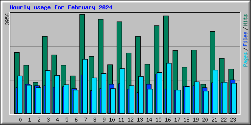 Hourly usage for February 2024
