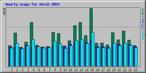 Hourly usage for March 2024