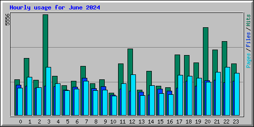 Hourly usage for June 2024