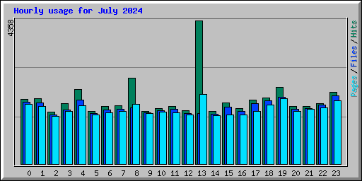Hourly usage for July 2024